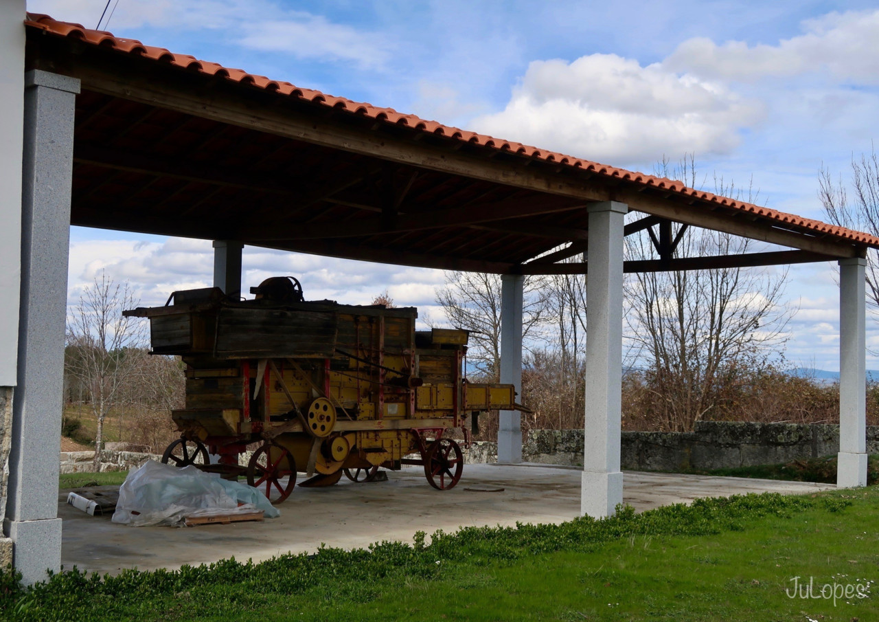 IMG_0307.jpg IMG_0307.jpg