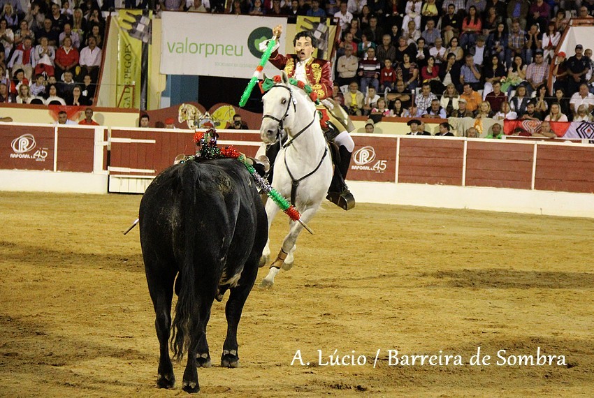 IMG_6807.JPG IMG_6807.JPG