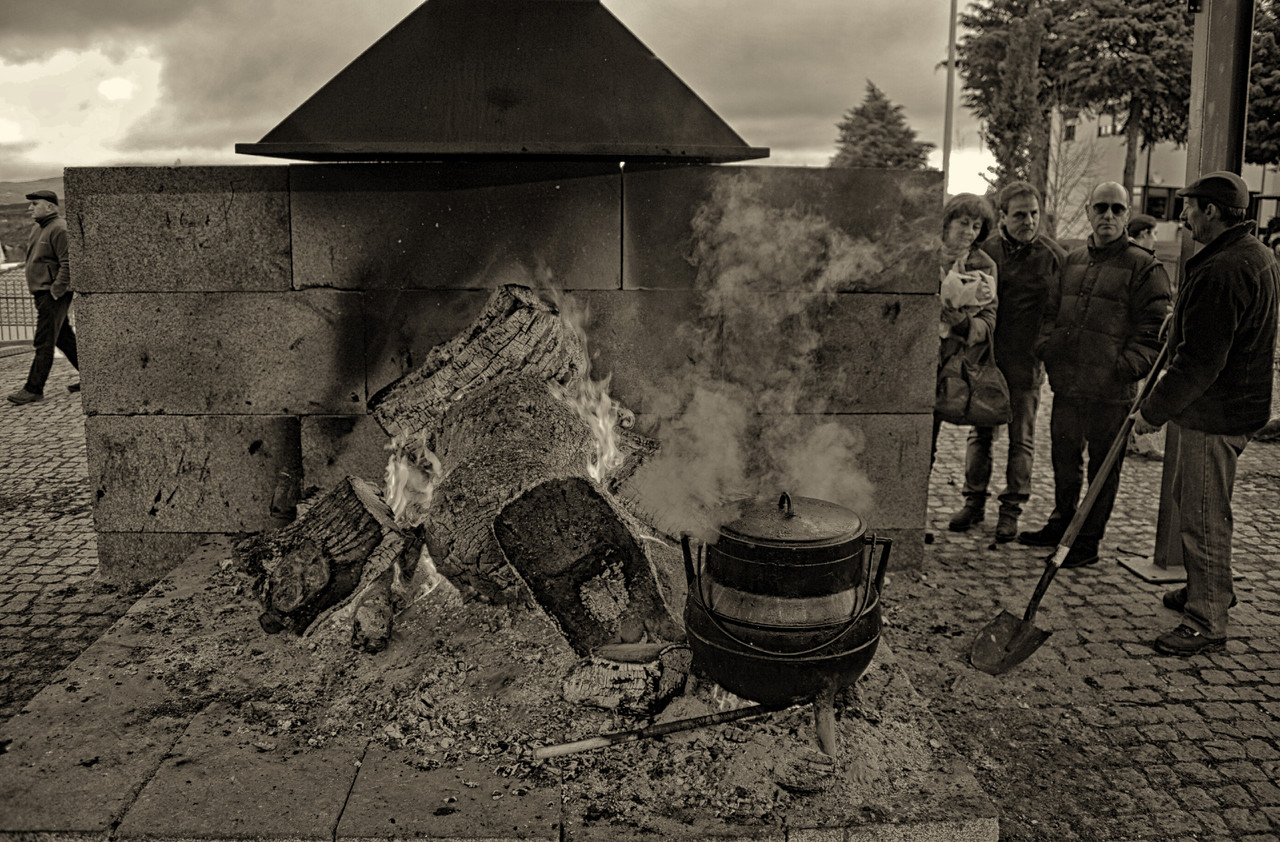 _JMD9718 - Cópia (2).JPG