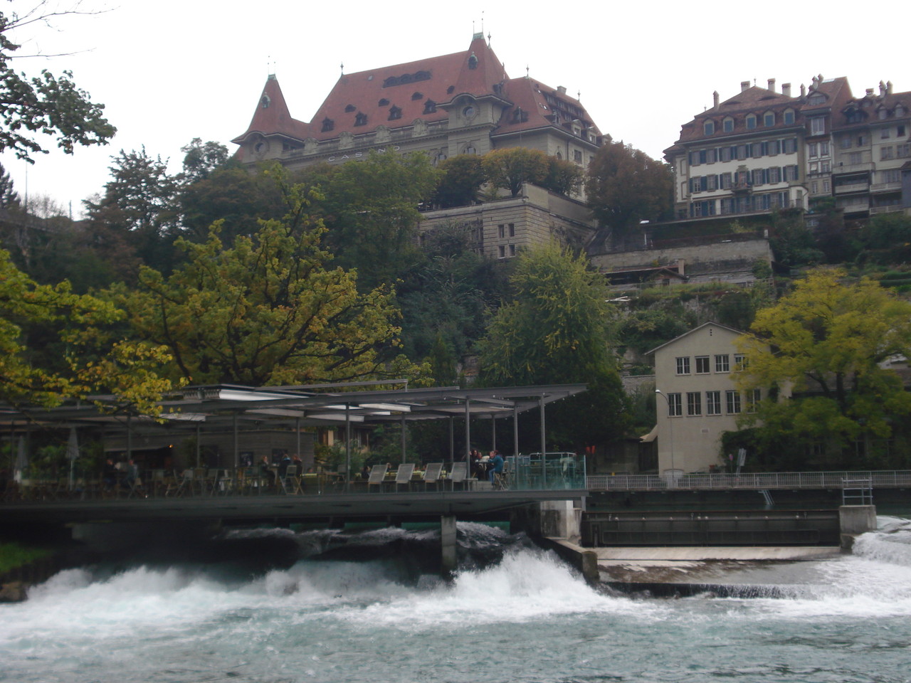 DSC09812.JPG DSC09812.JPG