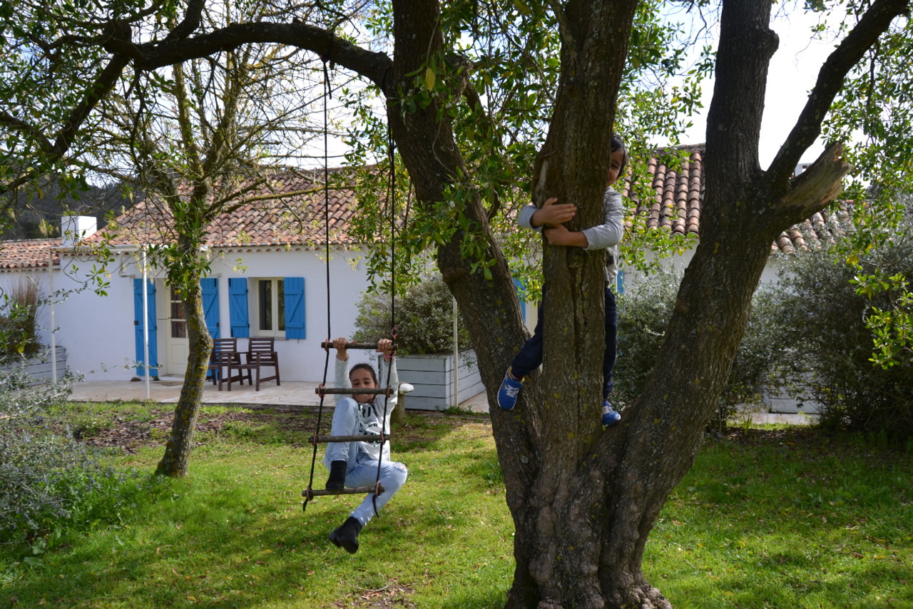 DSC_0980.jpg DSC_0980.jpg