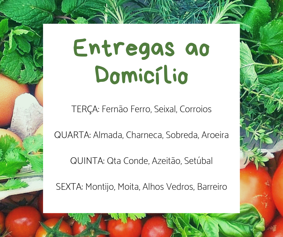 Entregas Domicilio.png