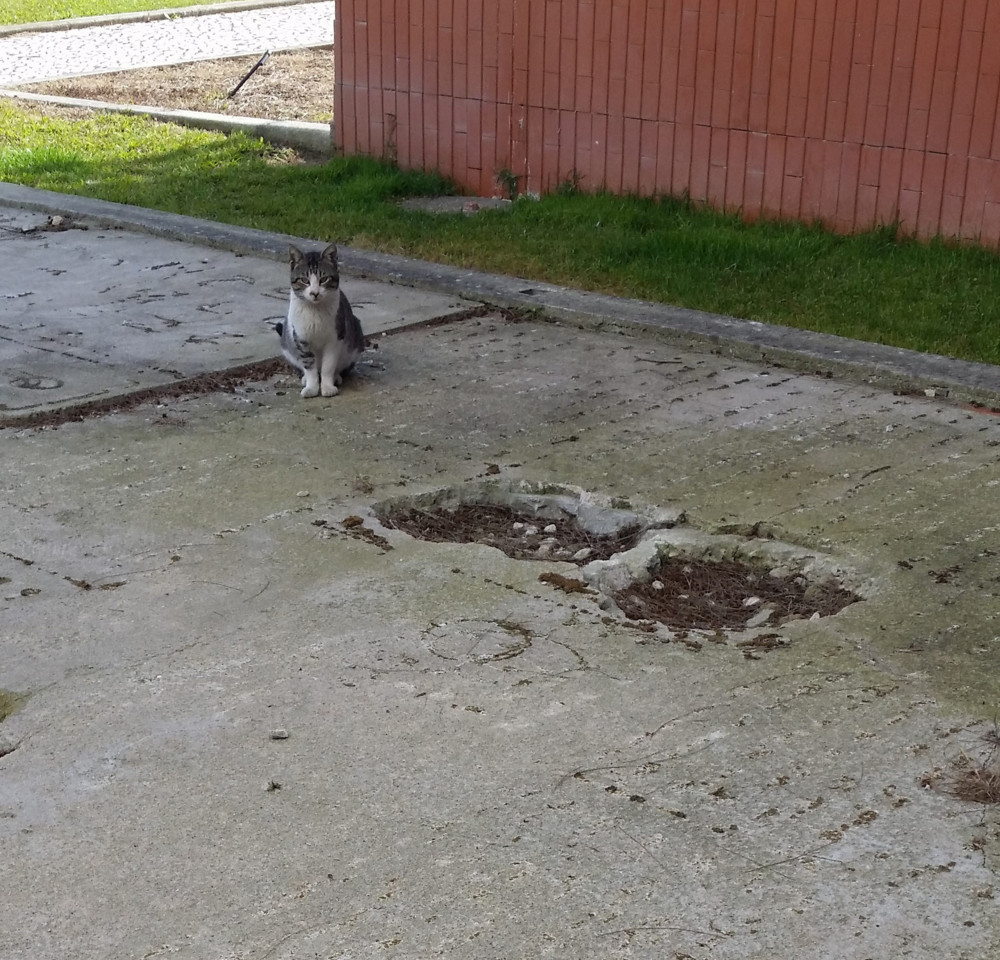 20022019.jpg 20022019.jpg