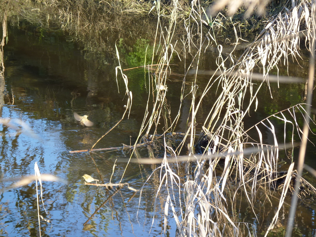 Parque Linear Ribeirinho do Estuário do Tejo (32)