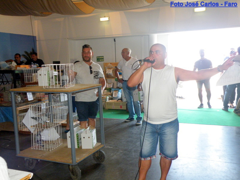 Aljustrel 2017 104.JPG