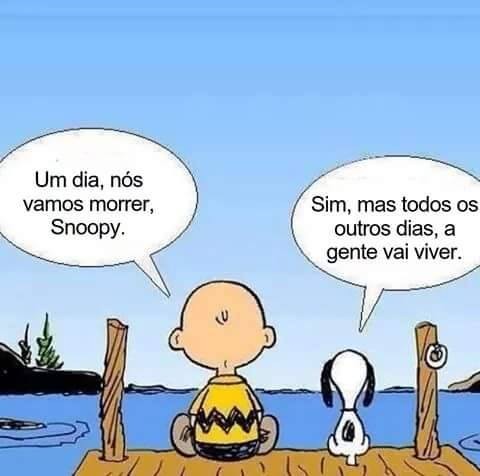 13612361_1155296081178792_4960399823470239333_n.jp 13612361_1155296081178792_4960399823470239333_n.jp