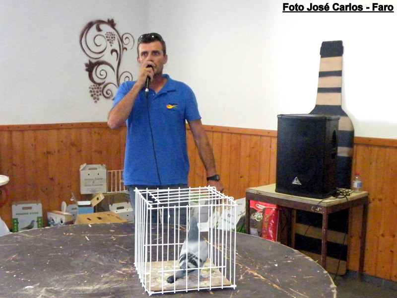 Leilão Ervidel 029.JPG