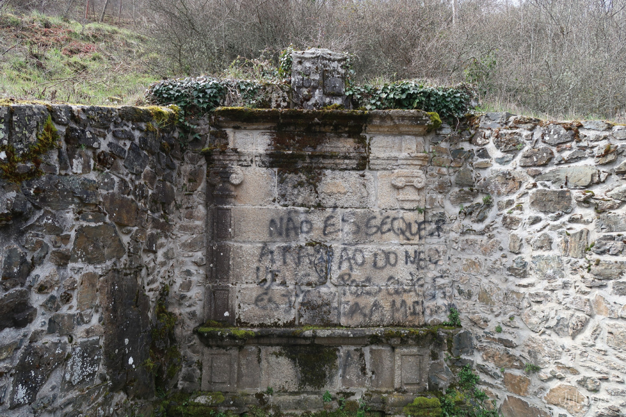 IMG_0126.jpg IMG_0126.jpg