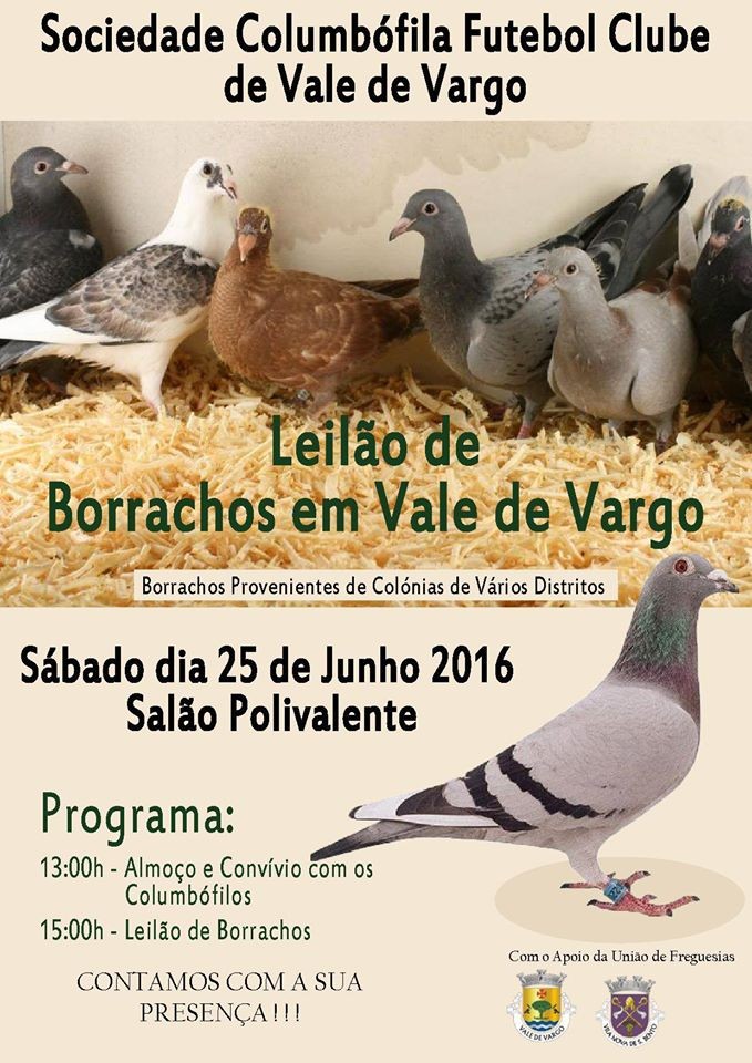 Leilão Vale Vargo.jpg