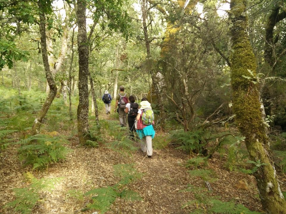 21430050_1904721179554399_7753452561414613256_n.jp