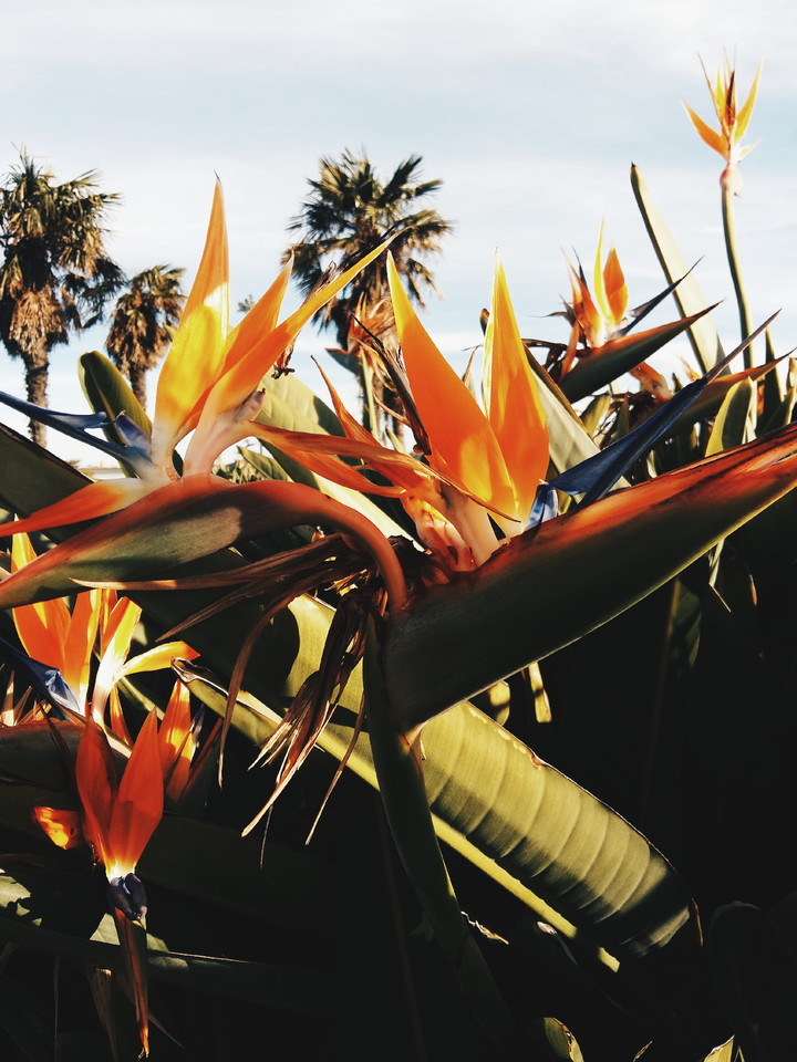 2015-06-25 01.17.46 2.jpg