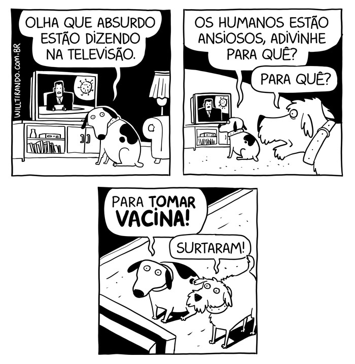 os cães.jpg