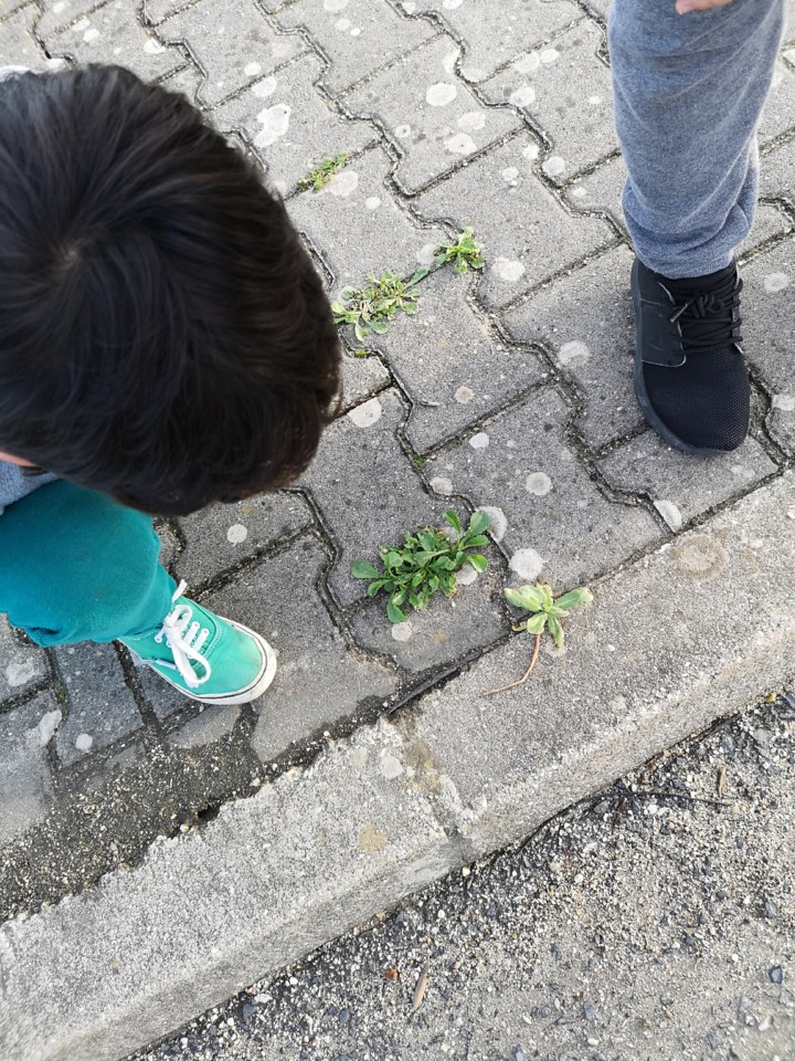 IMG_20201219_161507.jpg IMG_20201219_161507.jpg