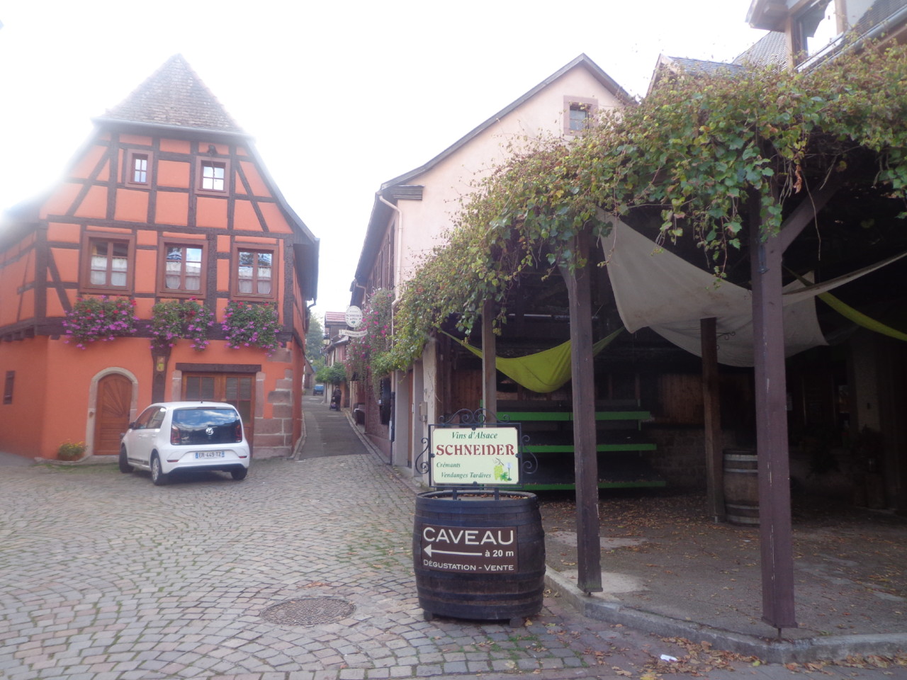 DSC06565.JPG DSC06565.JPG