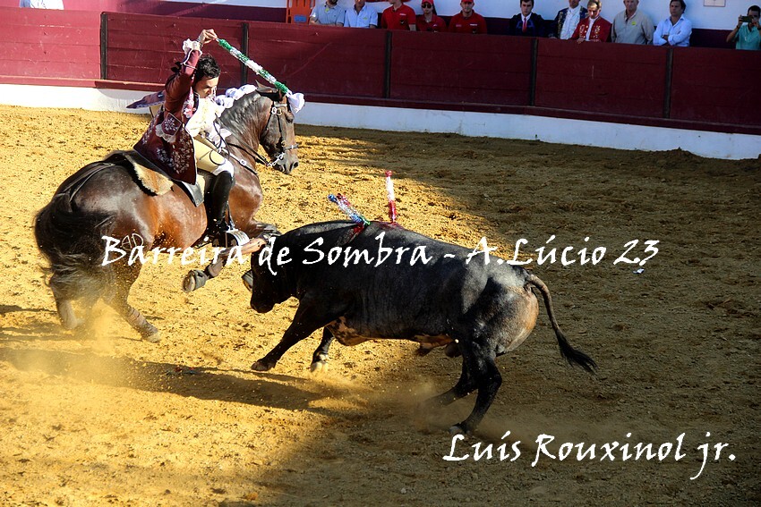 Rouxinol Jr_2636.JPG