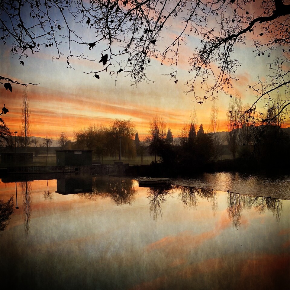 IMG_3476 - cópia.jpg