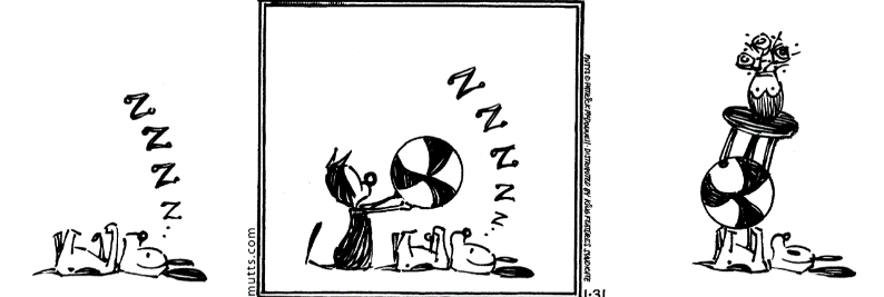 Mutts de 31 Janeiro 2025