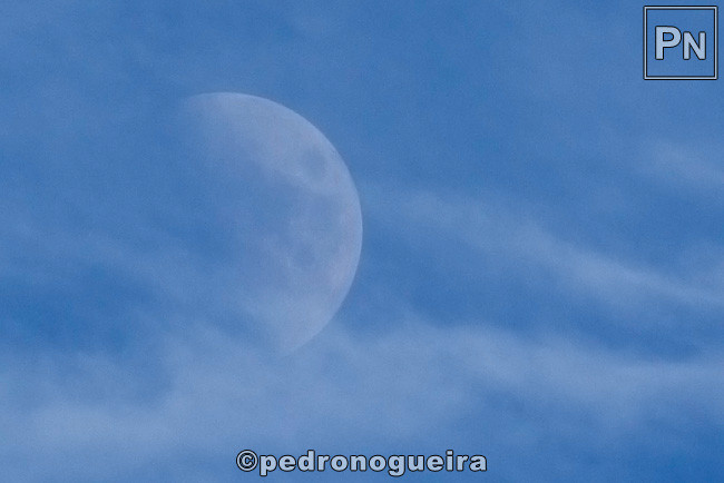 _MG_3773 650px b.jpg