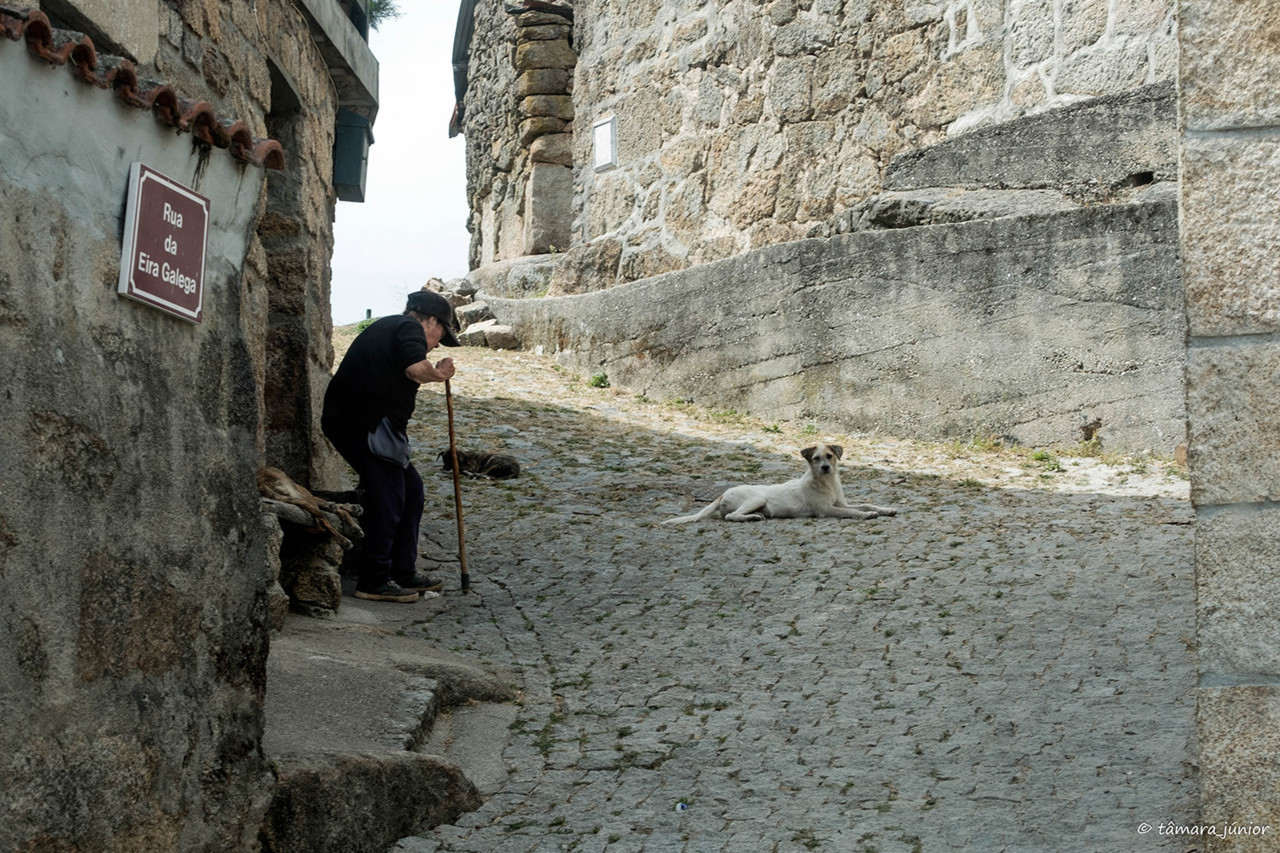 2017.- Montalegre (198).jpg