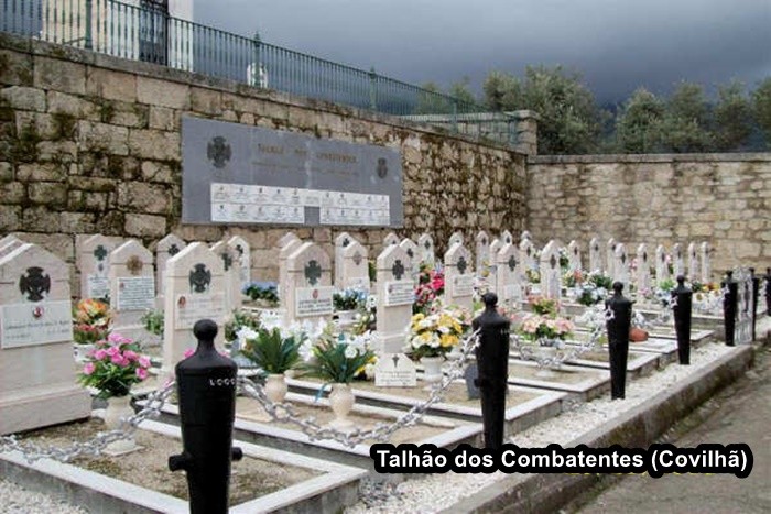 TALHÃO COVILHã (01).JPG TALHÃO COVILHã (01).JPG