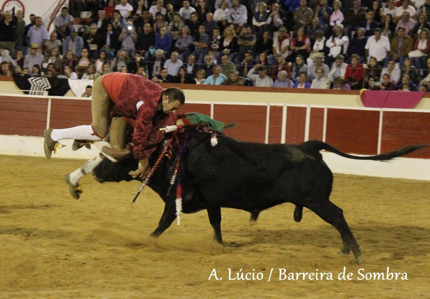 IMG_7007.JPG IMG_7007.JPG