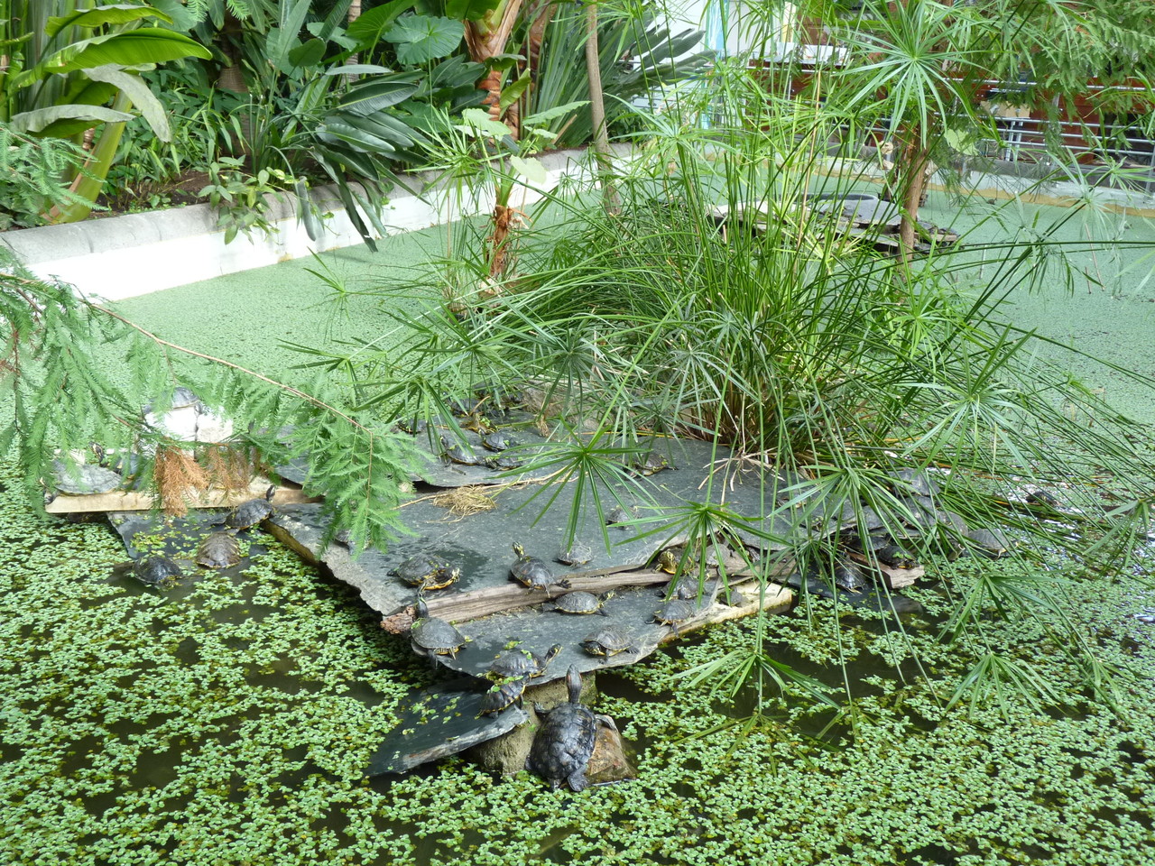 Romântica Madrid-Atocha (5).JPG