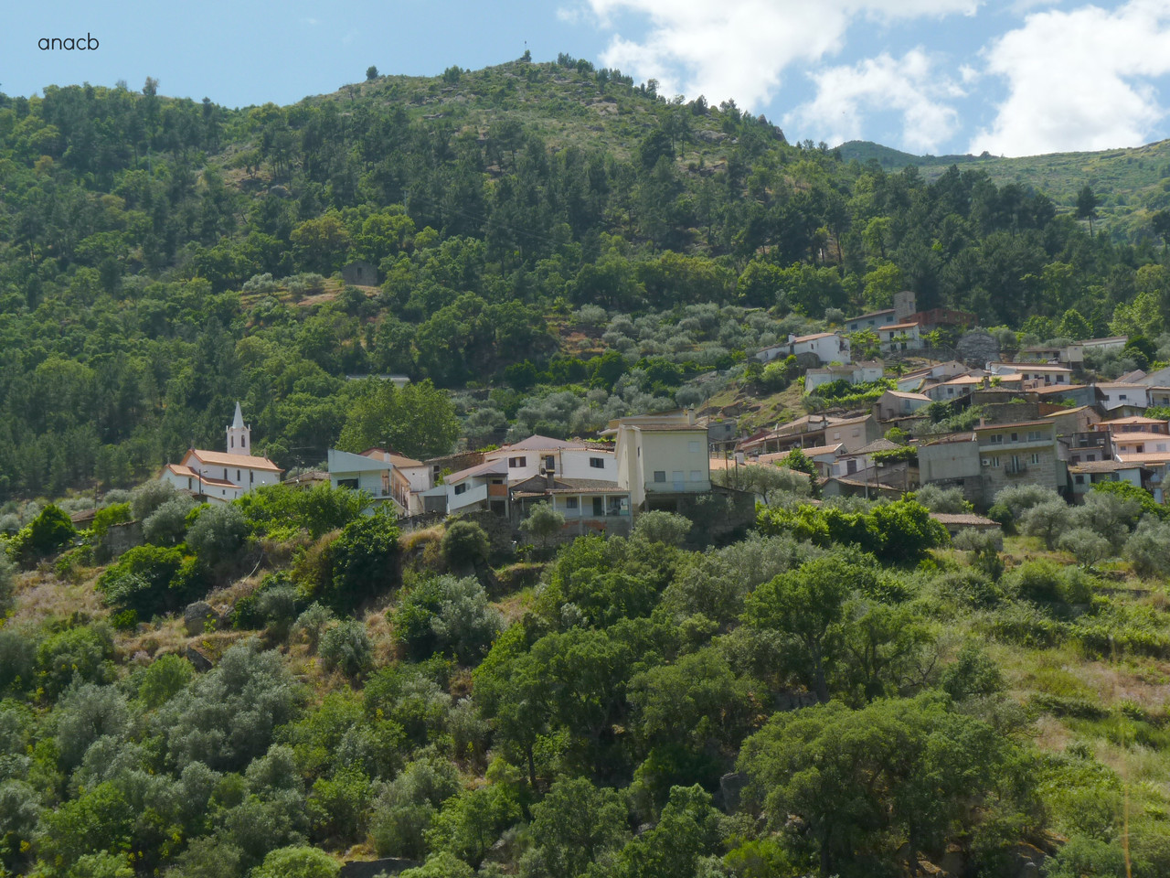 Amieiro (Tua), Junho 2016