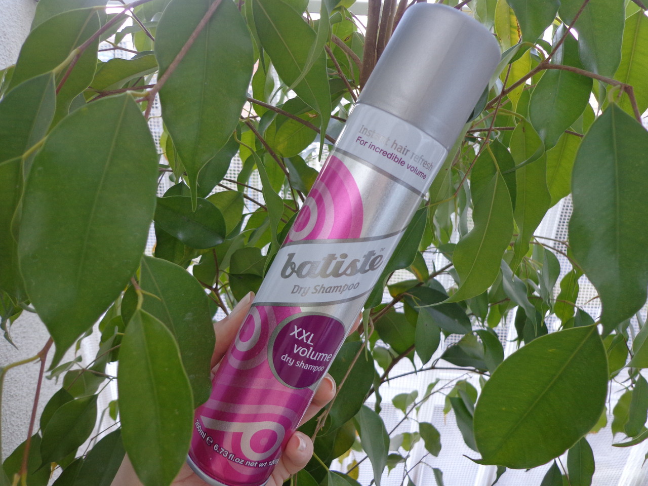 DSC03287.JPG DSC03287.JPG