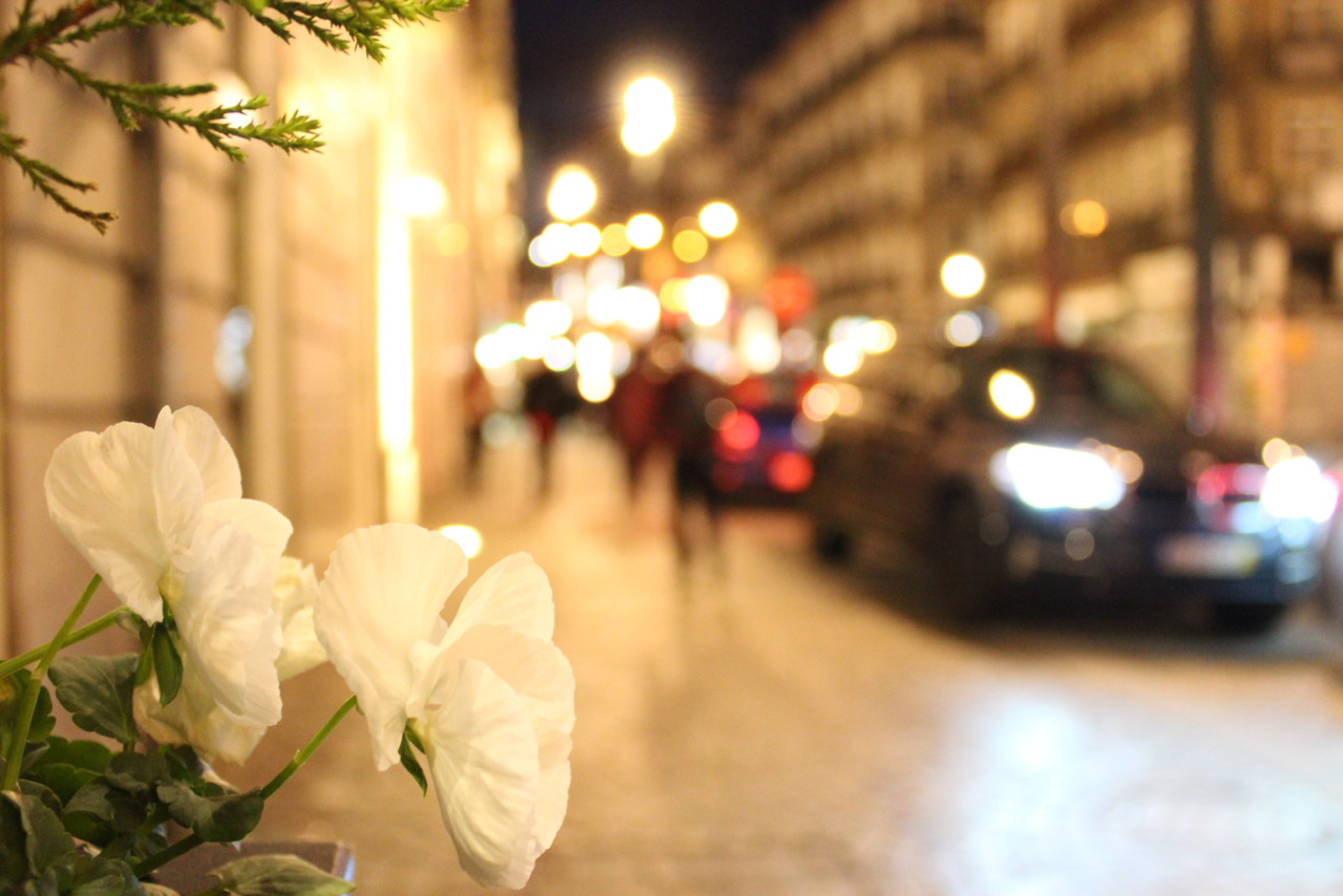 Natal com requinte no InterContinental Porto Natal com requinte no InterContinental Porto