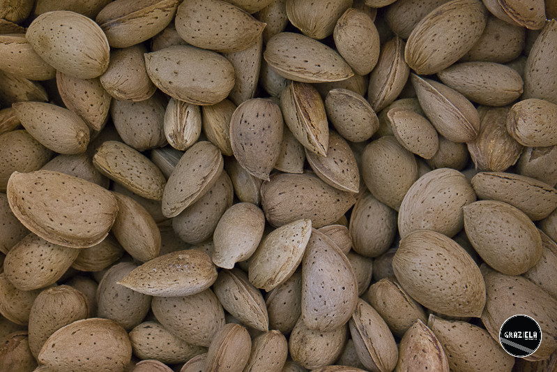 The_Bodyshop_Almond_and_Honey-1888.jpg The_Bodyshop_Almond_and_Honey-1888.jpg