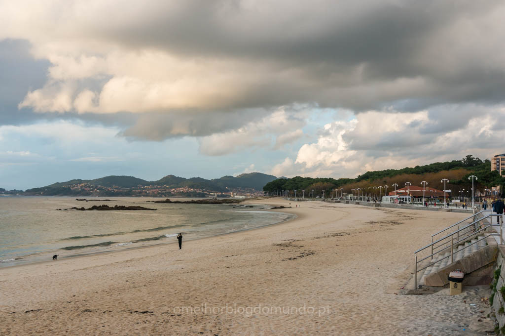 DSC03575.jpg DSC03575.jpg