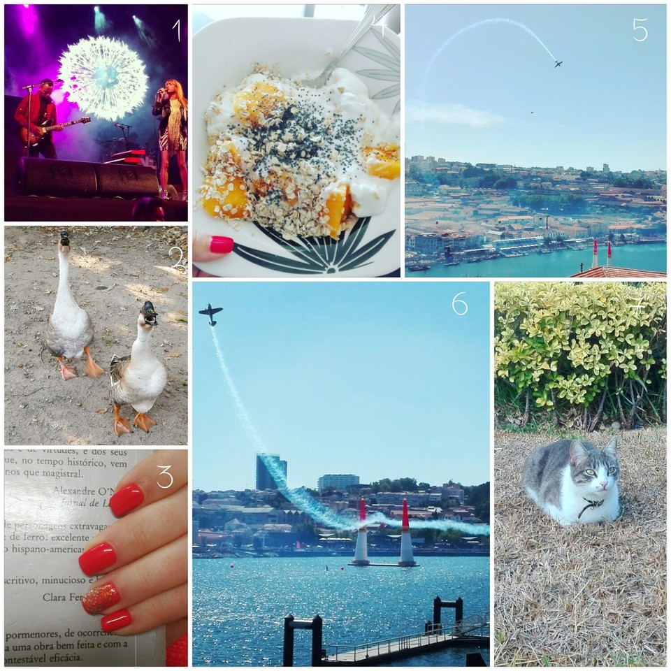 1504526244039.jpg 1504526244039.jpg