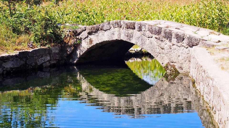 21369514_1786166191396799_3292435891097193863_n.jp