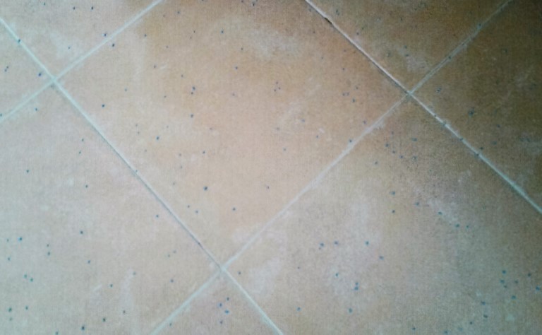 2016-05-04 09.49.59.jpg