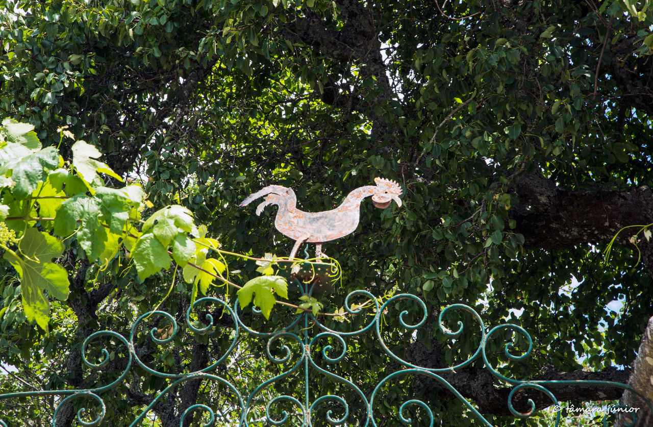 2015 - Cascata de Fírvidas (Montalegre) (178).jpg