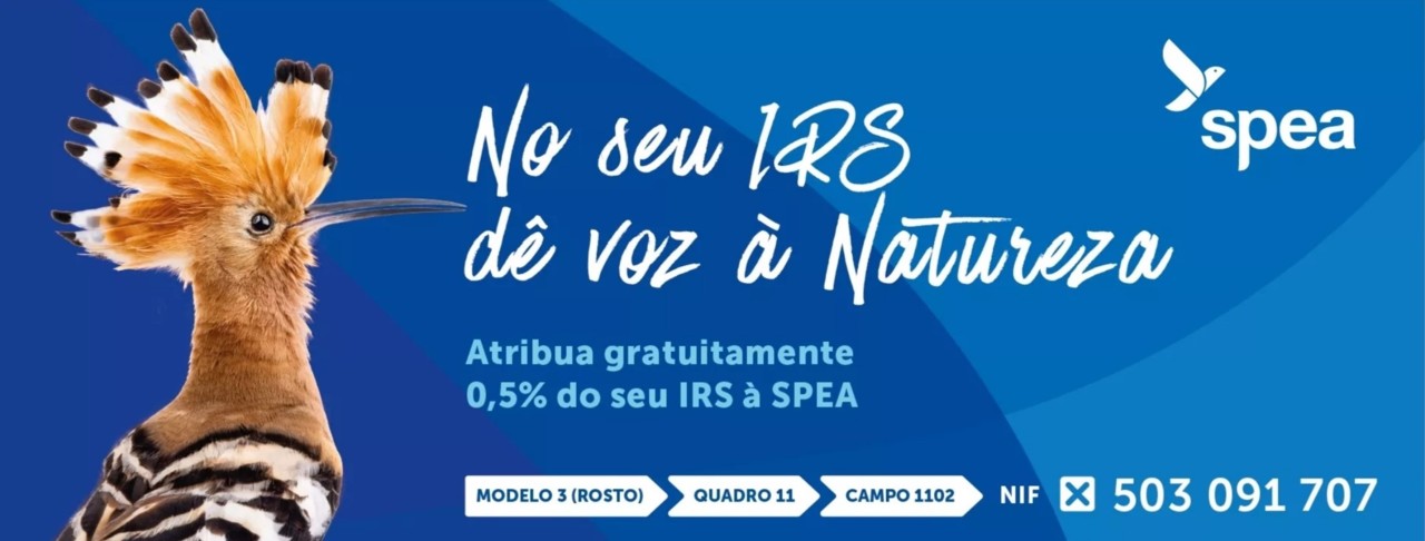 Consignação IRS