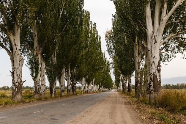 276157656_4936381476449712_1363667502000394899_n.j