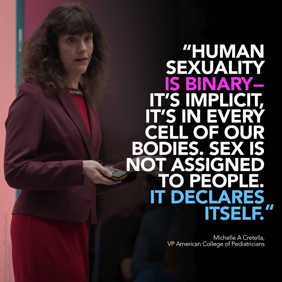 47680216_1995497450563372_6595192578184839168_n.pn