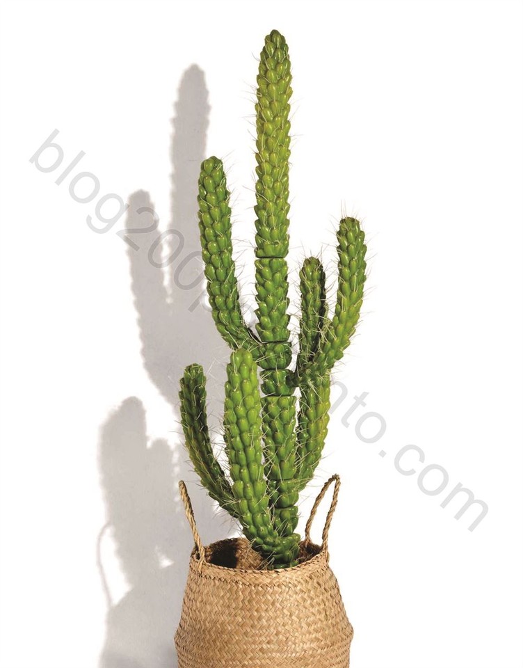 catalogue_028.jpg