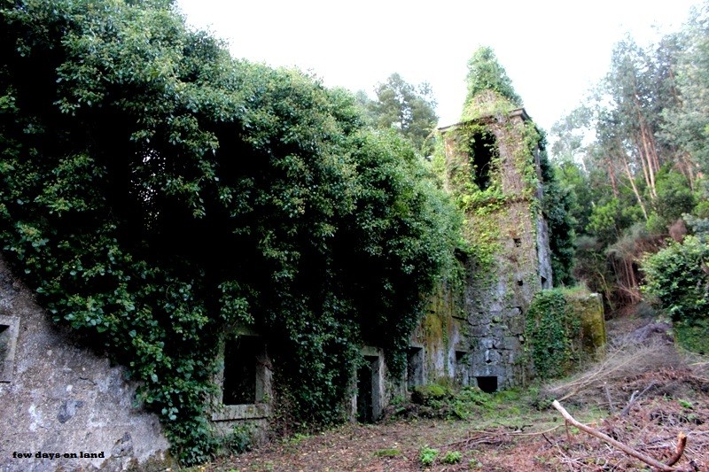 convento_sao_francisco (15).JPG