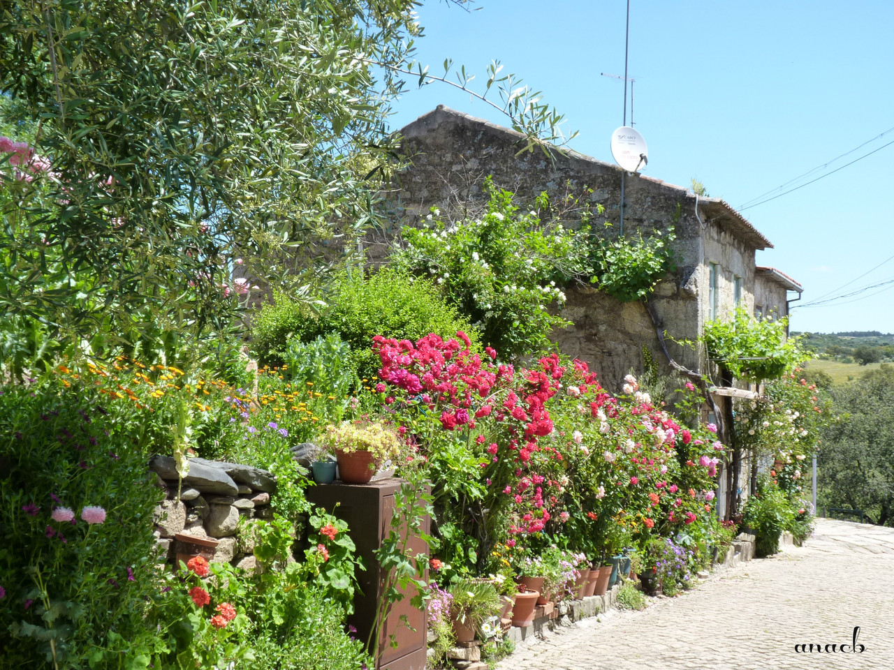 Idanha-a-Velha (135) rua.jpg