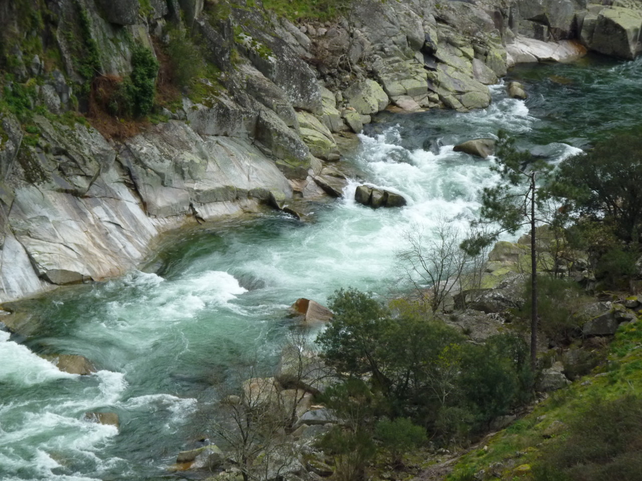 Paiva (10).JPG Paiva (10).JPG