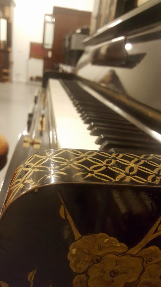 22279084_1288534881252012_931766353_o.jpg 22279084_1288534881252012_931766353_o.jpg