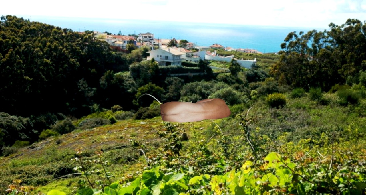 Serra, Várzea e Mar.jpg