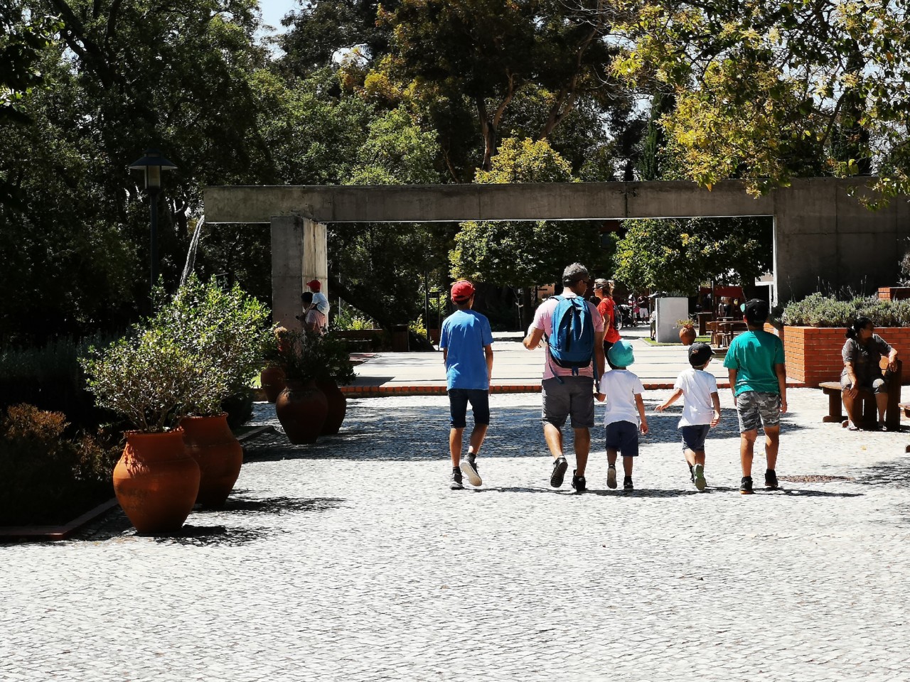 IMG_20190728_120219.jpg IMG_20190728_120219.jpg