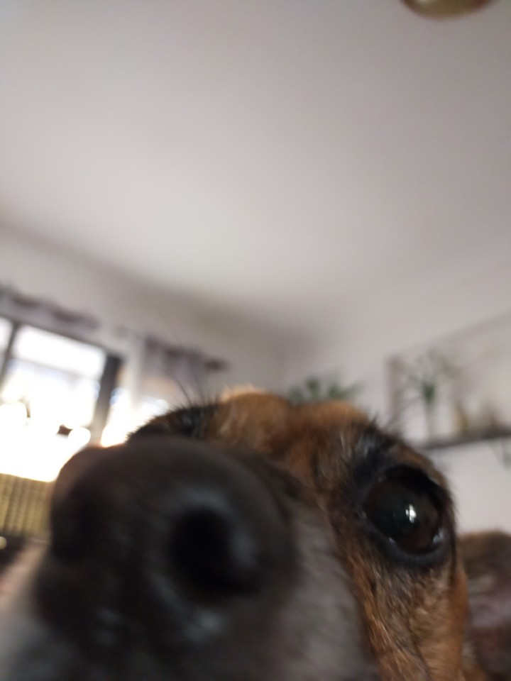 supersuper.jpg supersuper.jpg