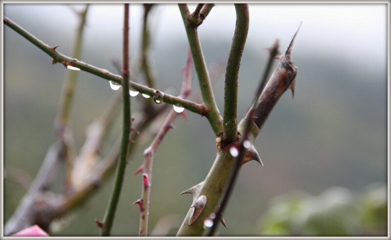 Chur e viagem 660.jpg