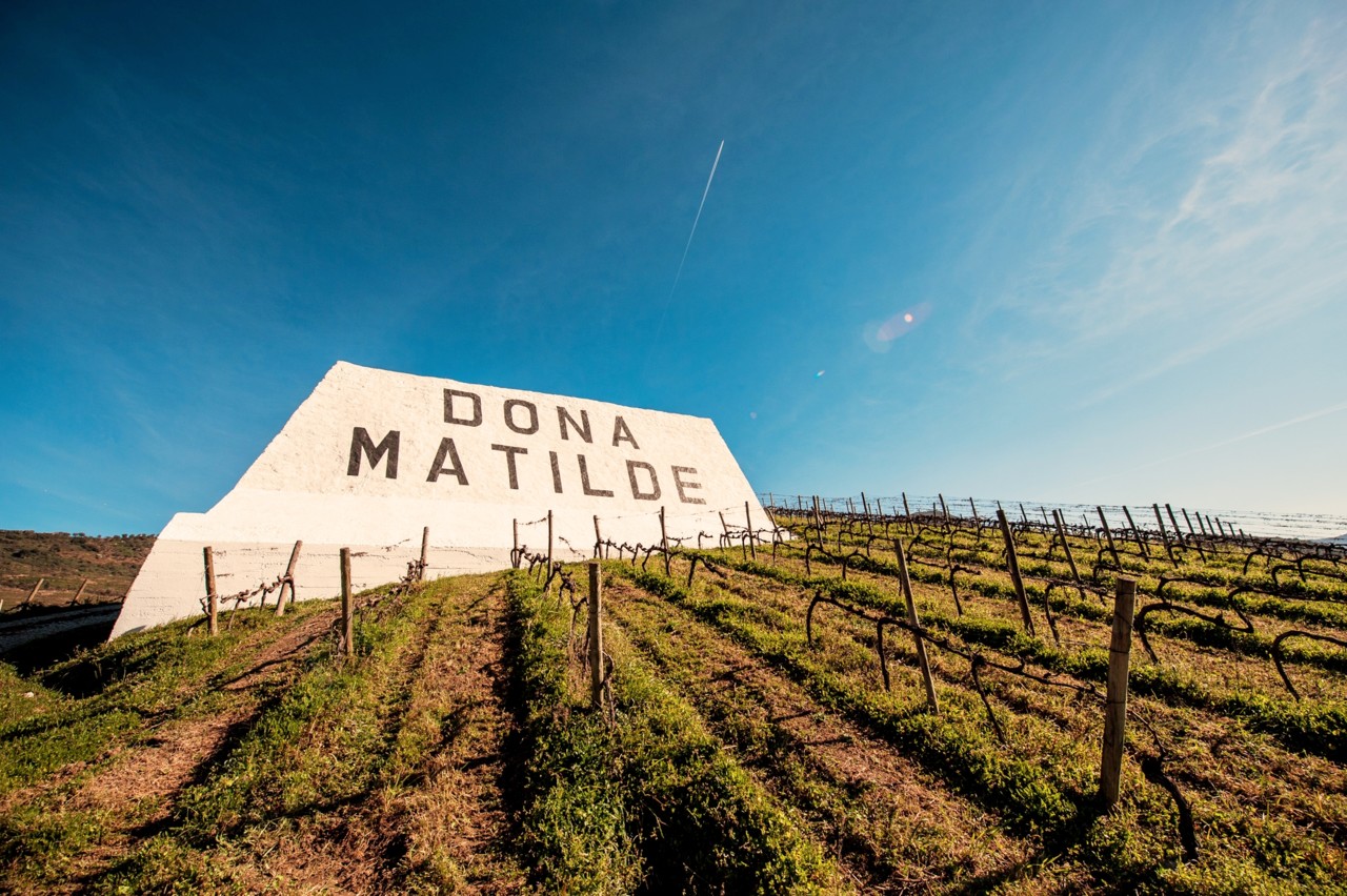 Dona Matilde Porto 2013