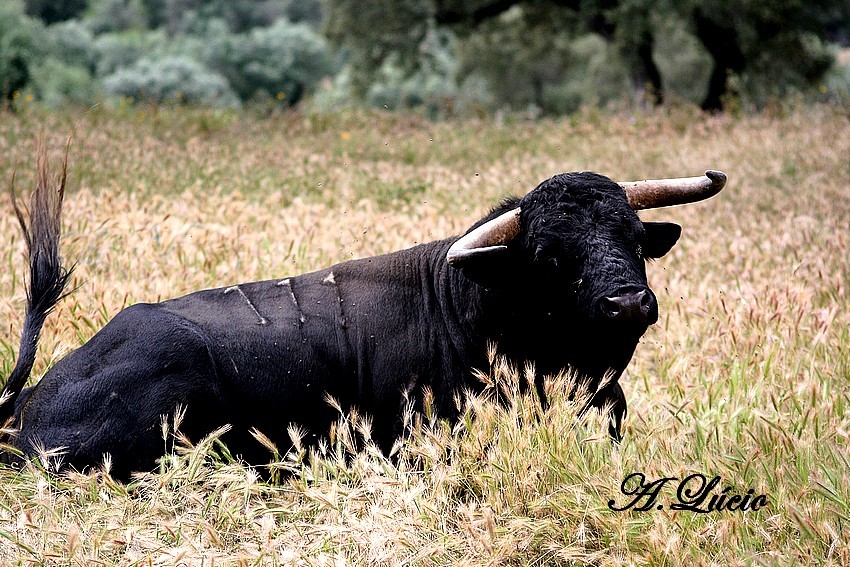 Treino Falé Filipe 146.jpg