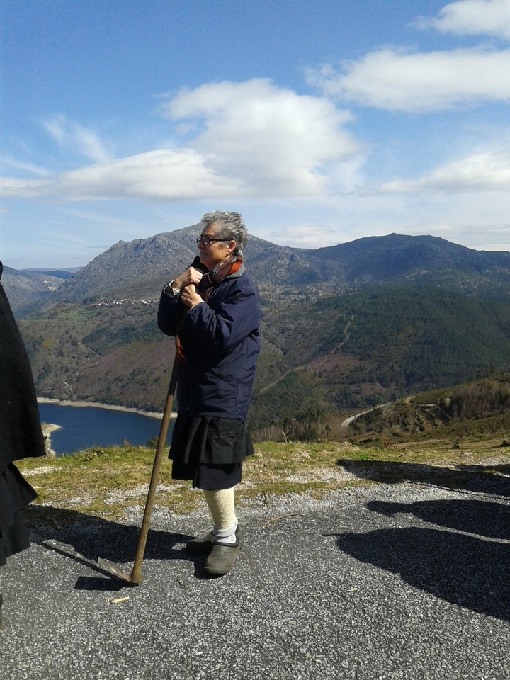 Plantacao500Arvores_4